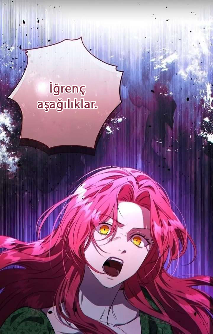 1. Bölüm — Sayfa 29