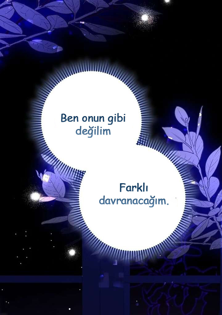 1. Bölüm — Sayfa 161