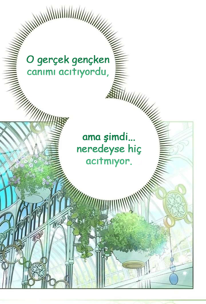 1. Bölüm — Sayfa 205